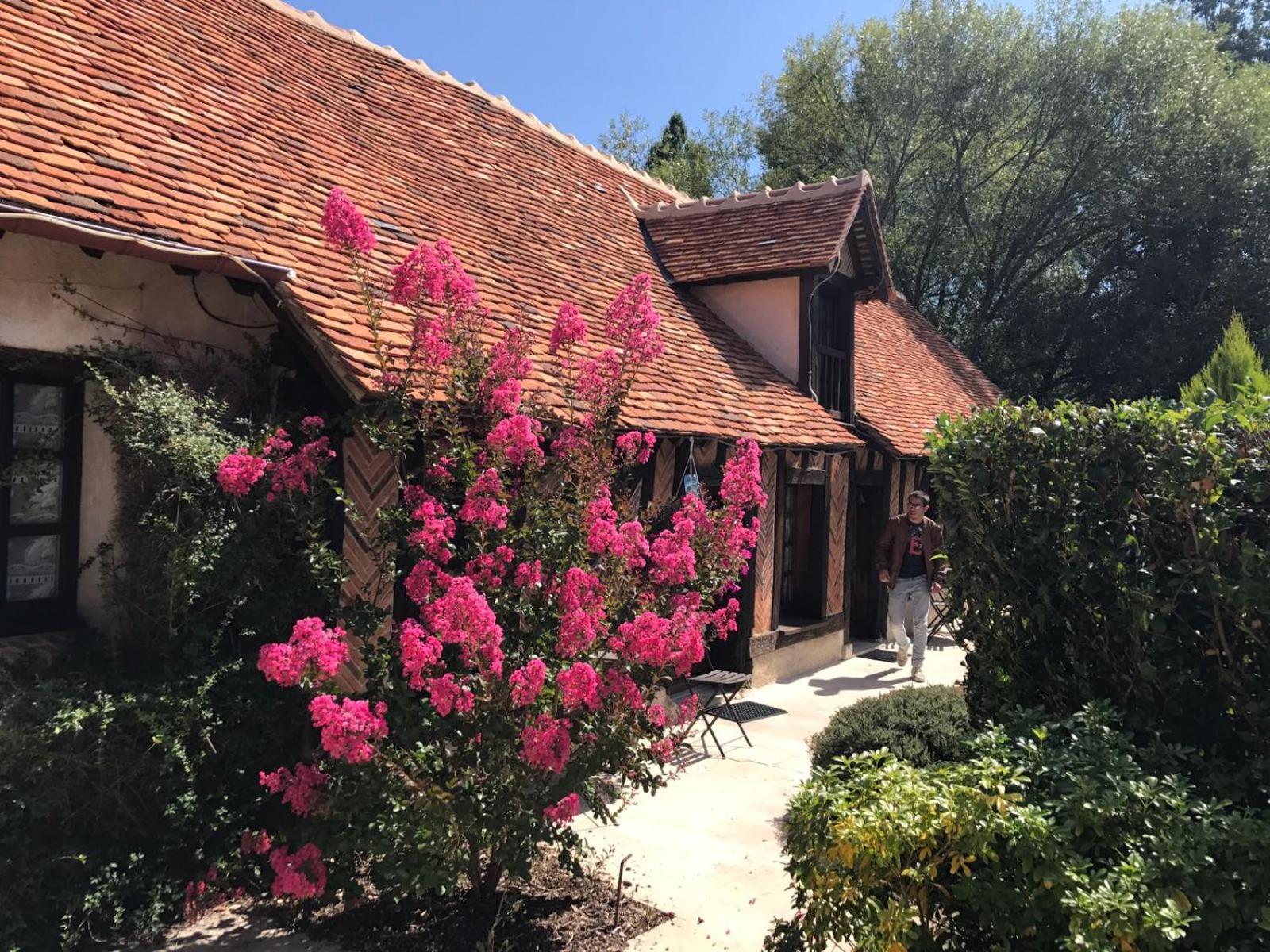 Domaine De Grand-Pas Villa Vernou-en-Sologne Eksteriør bilde