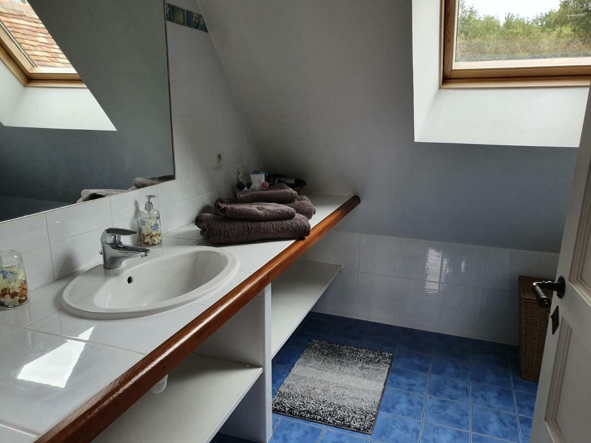 Domaine De Grand-Pas Villa Vernou-en-Sologne Eksteriør bilde